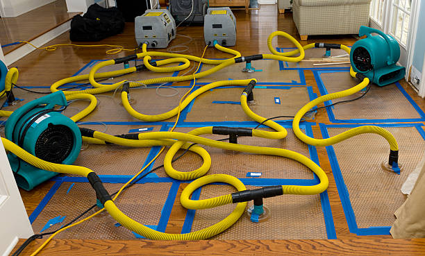 Professional Basement Flood Cleanup technician working in Del Mar, CA